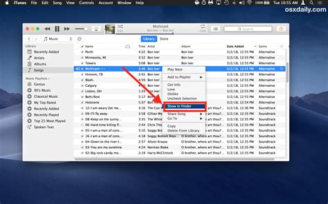 how to add files to apple music and explore the best ways to organize your library